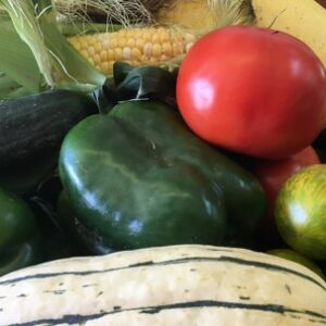 2023 Full Summer Vegetable Share Balance due May 15th