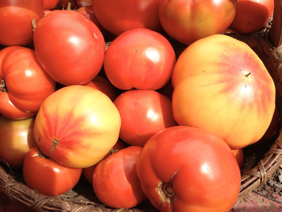 What Are Heirloom Tomatoes?
