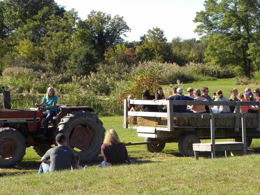 Kristys Barn Locally Grown Fruits and Vegetables in NY Capital District