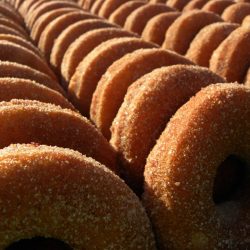 Best Apple Cider Donuts