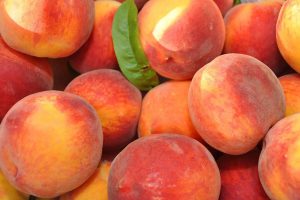 Best Peaches in upstate new york