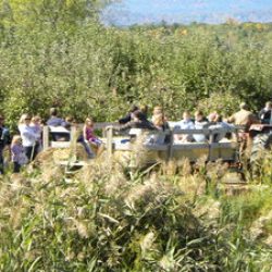 Free hayrides NY