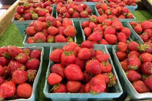 Fresh Strawberries new East Greenbush NY