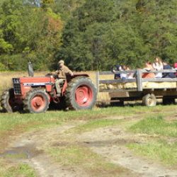 Hay Rides in the Fall