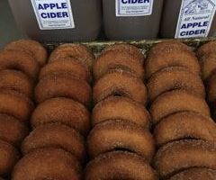 Kristys barn cider donuts
