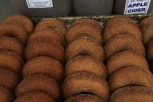 Kristys barn cider donuts