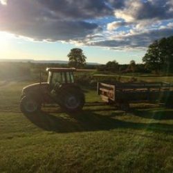 Local Farms in Upstate New York