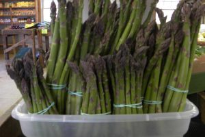 Local-asparagus-new-york