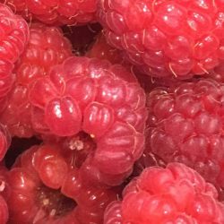 UPick-Red-Raspberries