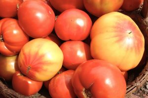 heirloom-tomatoes-1188815_960_720